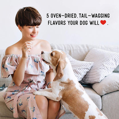 Dogs Love Chicken Premium Jerky Treats for Dogs