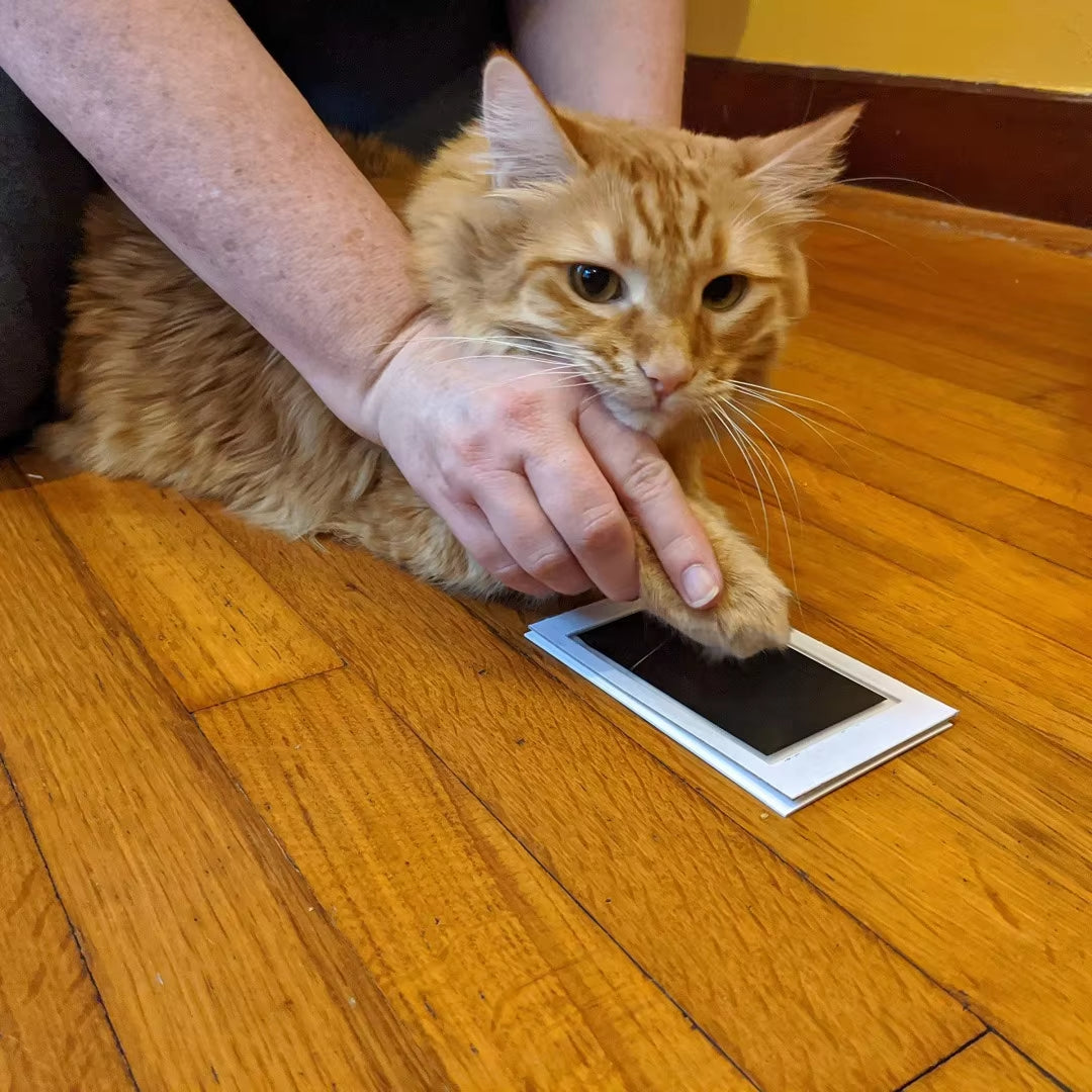 Capture Cherished Memories with the Paw Print Clean Touch Ink Pad - Create Unique Dog and Cat Keepsakes